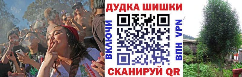 Марихуана Ganja  Купить закладки  Куса 
